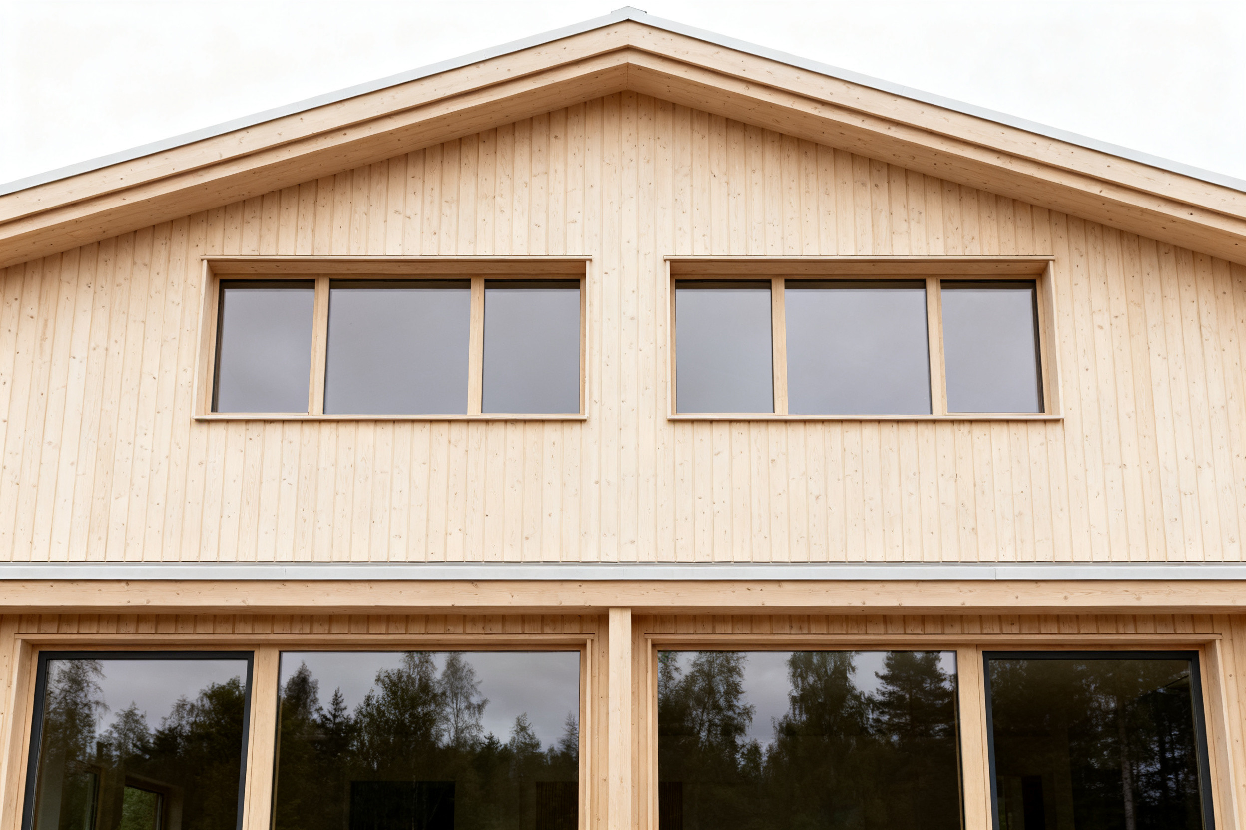 Scandinavian House Exterior