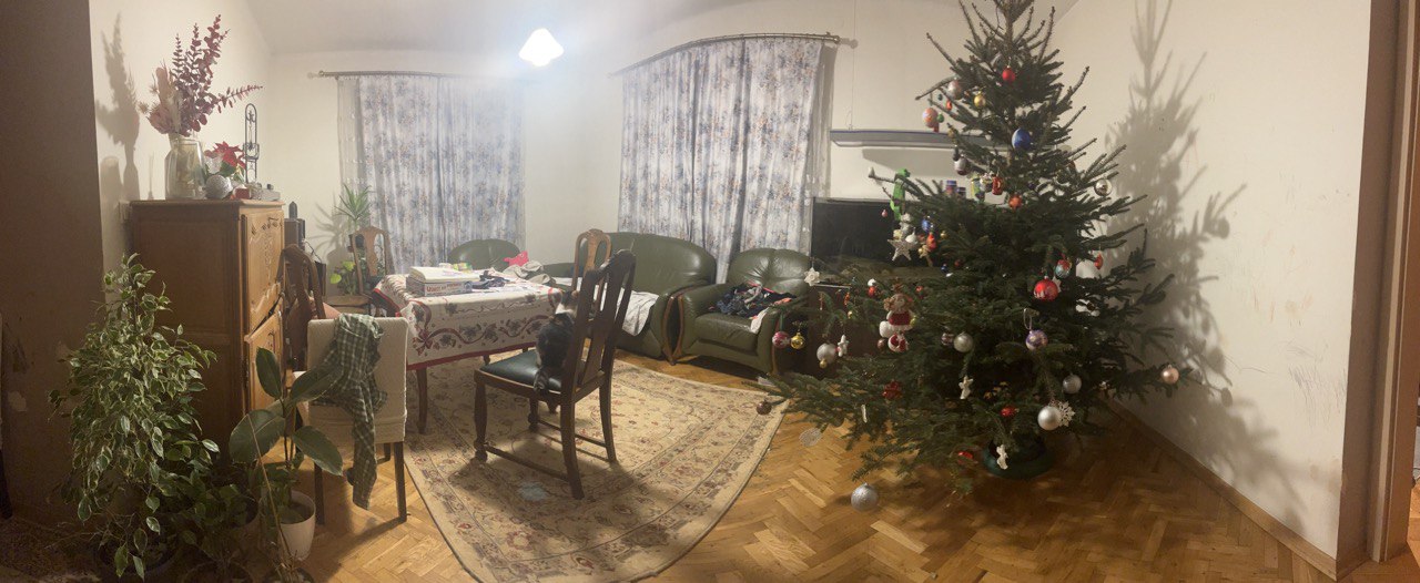 Old Mid-Century Modern Living Room