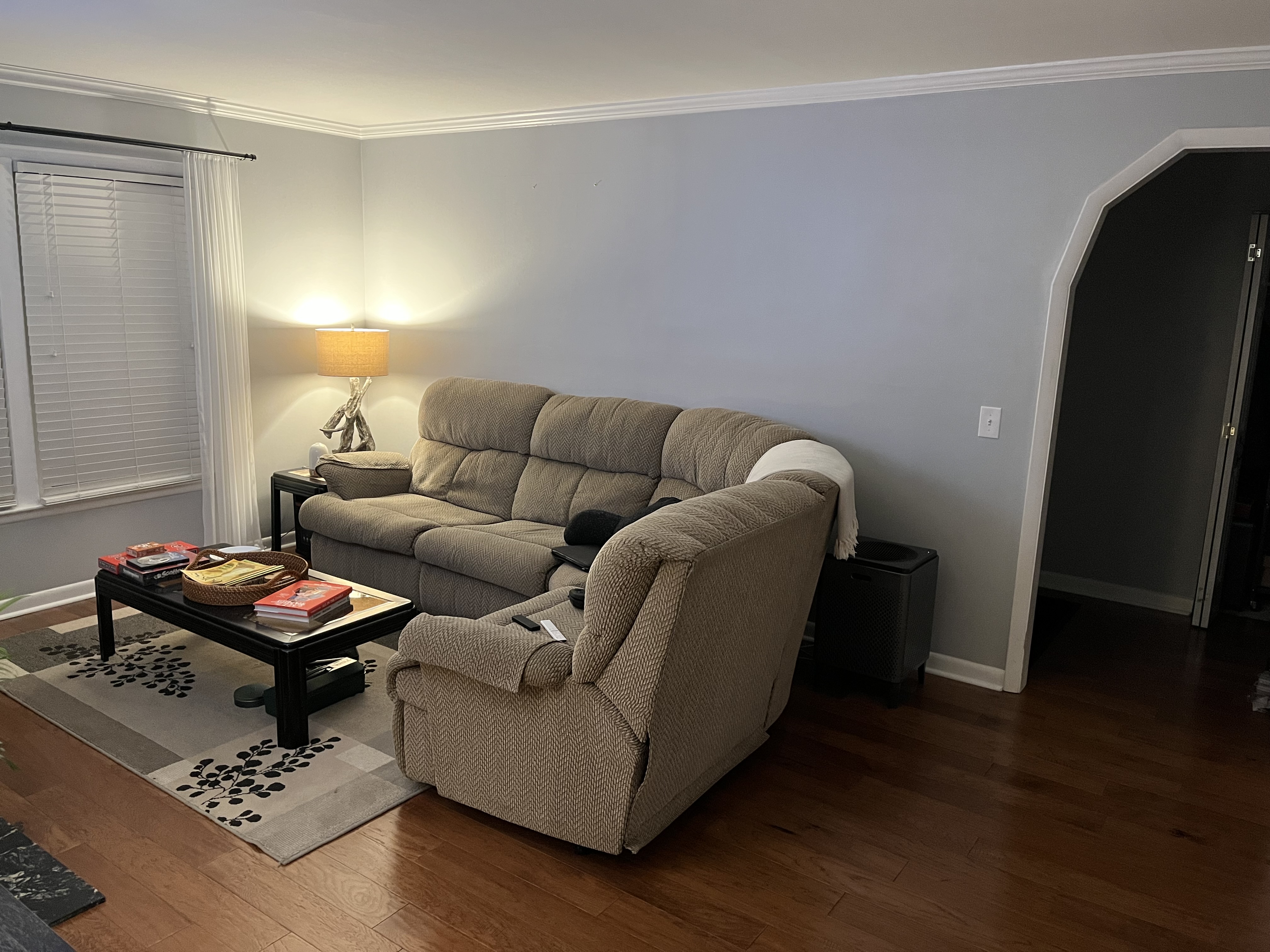 Old Mid-Century Modern 