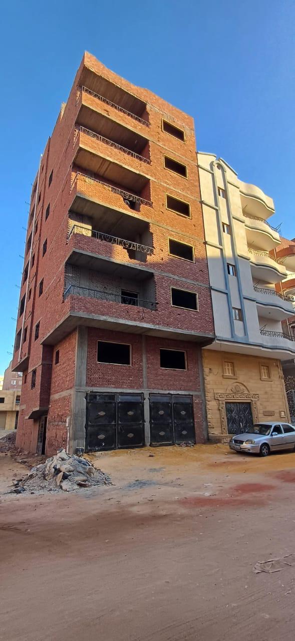 Old Biophilic House Exterior