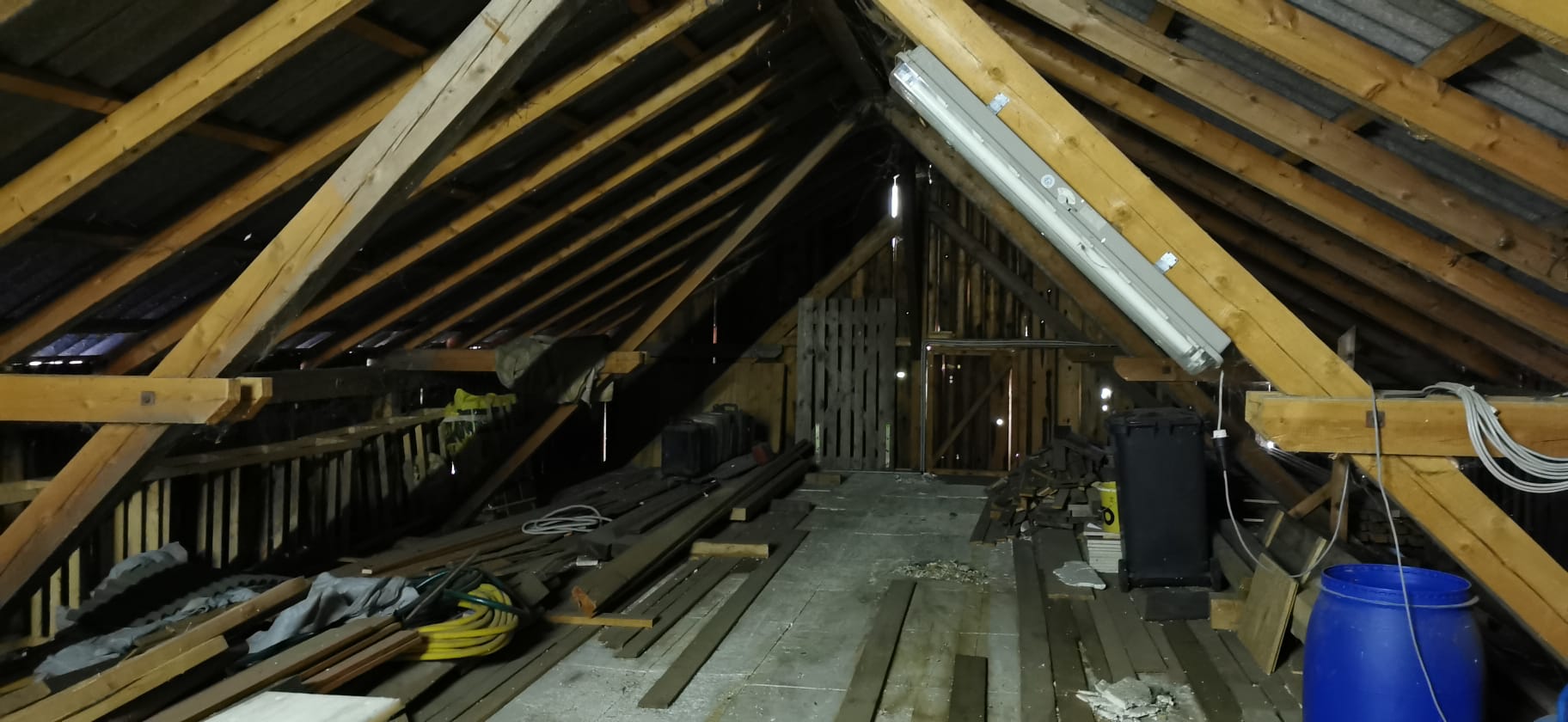 Old Biophilic Bedroom