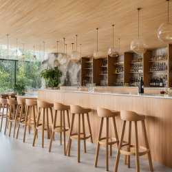 Alvar Aalto Bar/Lounge Area