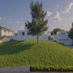 Contemporary House Exterior