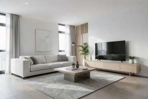 Minimalist Living Room