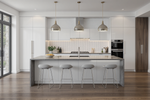 Contemporary Kitchen