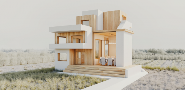 New Scandinavian House Exterior