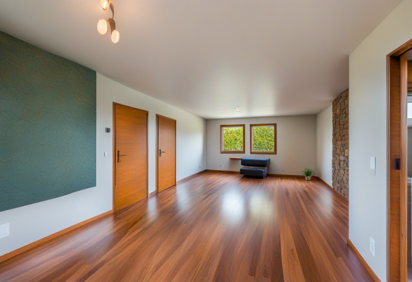 Mid-Century Modern Living Room