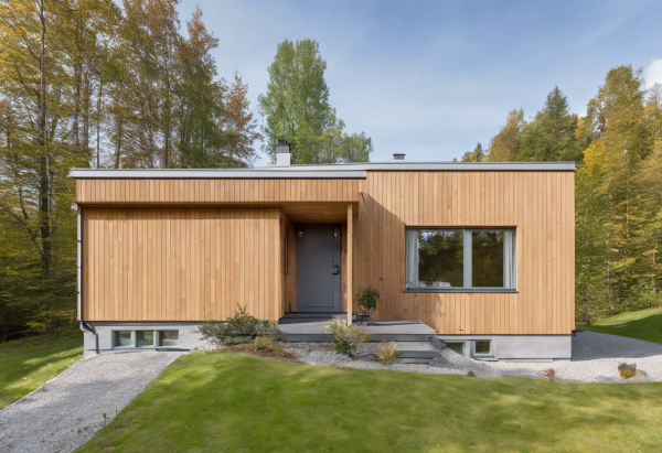 Scandinavian House Exterior