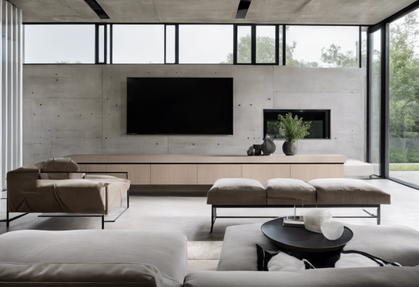 Contemporary Living Room