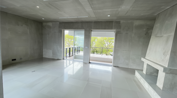 New Minimalist Living Room