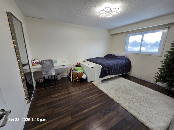 Old Mid-Century Modern Bedroom