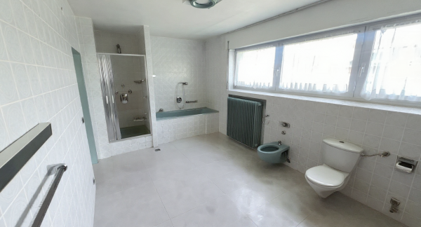 Old Mid-Century Modern Bathroom